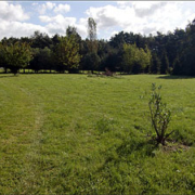 Hundebetreuung-Potsdam.de Auslauf